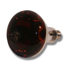 Økonomi IR 250W glødelampe til effektiv varme i dyrestalde og drivhuse.