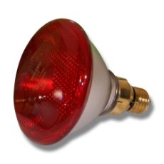 Økonomi PAR 100W glødelampe til effektiv belysning og energieffektivitet.