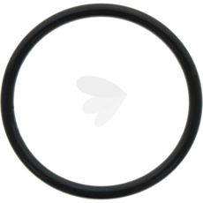 O-ring for løftestempel X548953066000, sikrer tæthed og lang levetid.