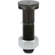 Bolt M20x2,5