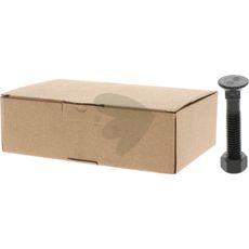 Plovbolte med møtrik M12x55, DIN 608, 12.9 25-pak