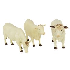 Charolais køer 1:32 model, den perfekte detalje til din bondegård.