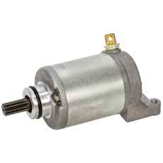 Effektiv starter til Can-Am Rally 175Cc, præstationsfokuseret.