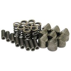 Komplet kam- og fjederserie til optimal ydeevne i sæsonen.