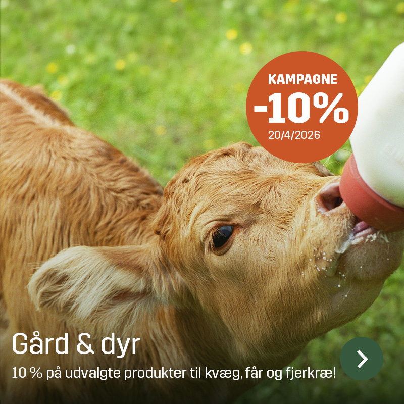 Kalv drikker mælk fra en flaske i en grøn græsmark, vist i nærbillede af hoved og mule. Sagros sortiment inden for gård og dyr bruges til fodring og pasning af kalve i landbruget.