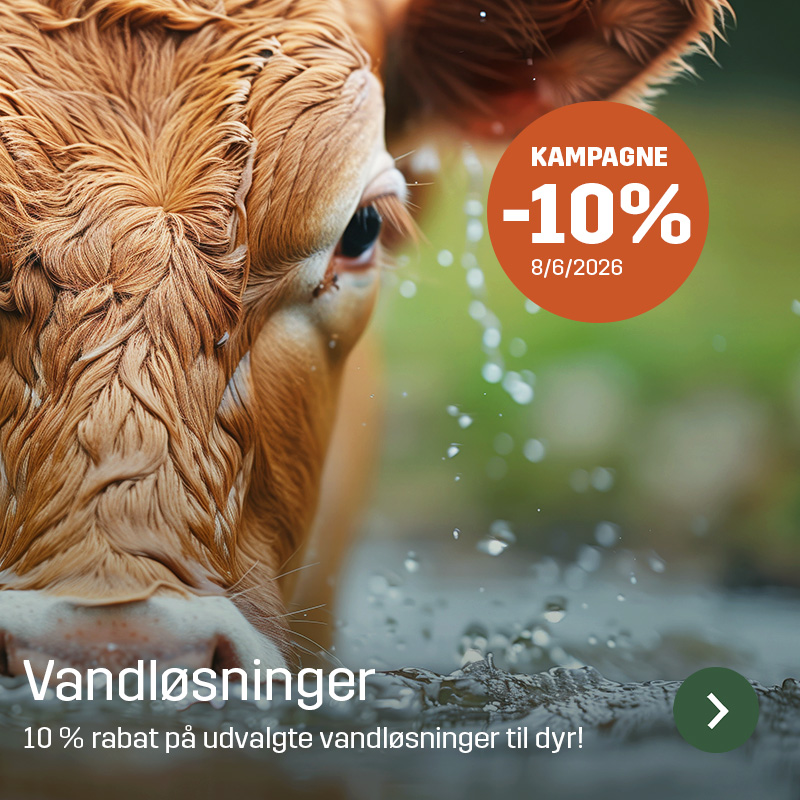 Nærbillede af kalv der drikker vand med vandsprøjt i forgrunden og kampagnetekst om vandløsninger til dyr. Sagros sortiment inden for vandløsninger vises i et miljø knyttet til dyrehold.